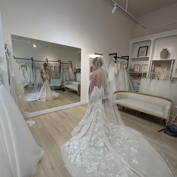 Cathedral Length Ivory Veil